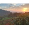 tanalandscape
